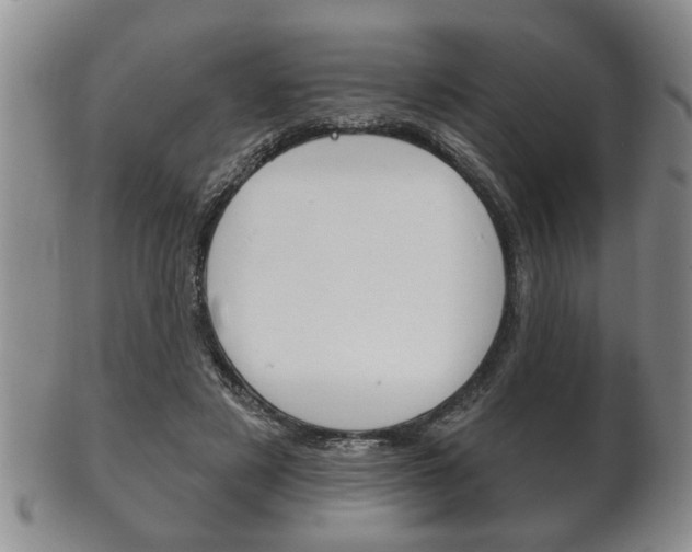 X0000102500497200808080948