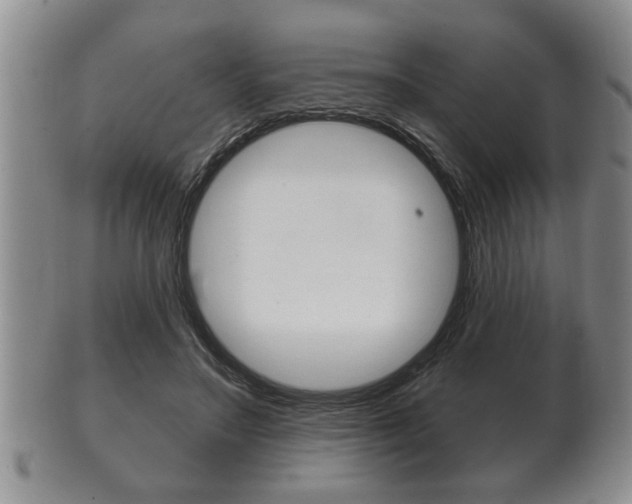 X0000102500499200808080948