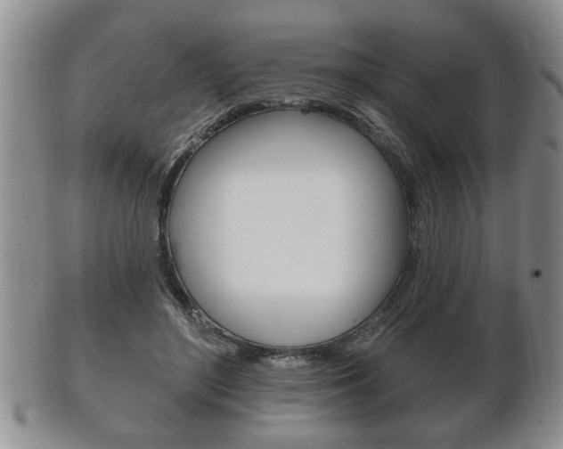 X0000102500500200808080948