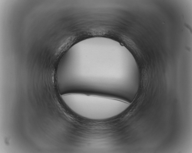 X0000102500501200808080948