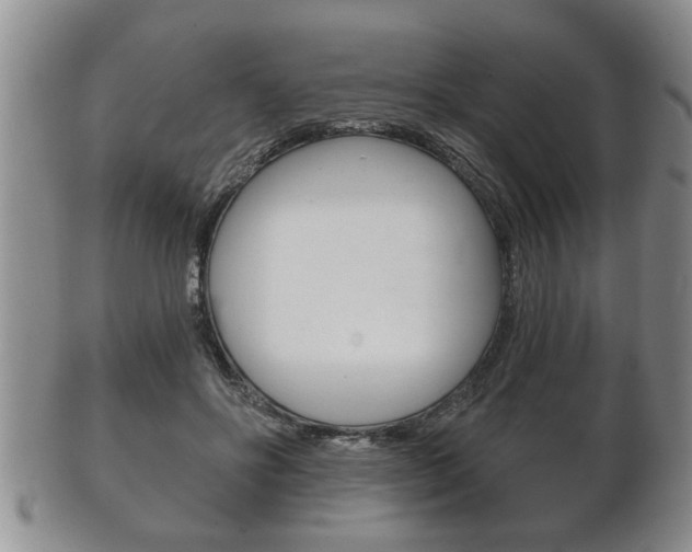 X0000102500502200808080948