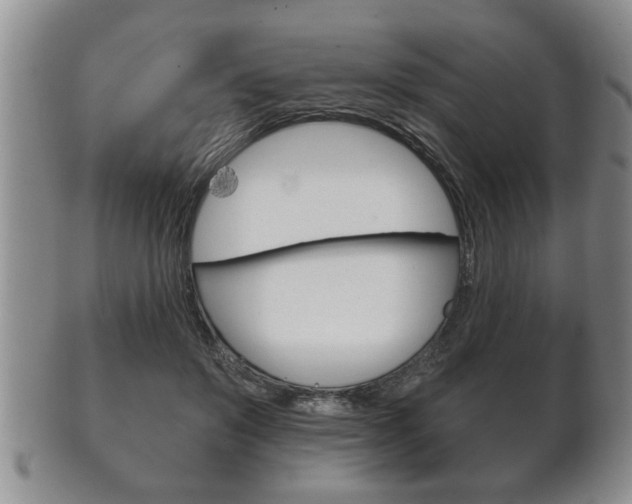 X0000102500503200808080948