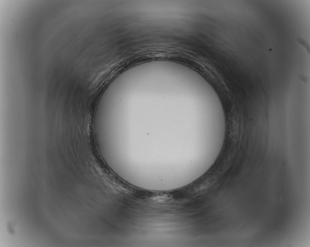 X0000102500505200808080948