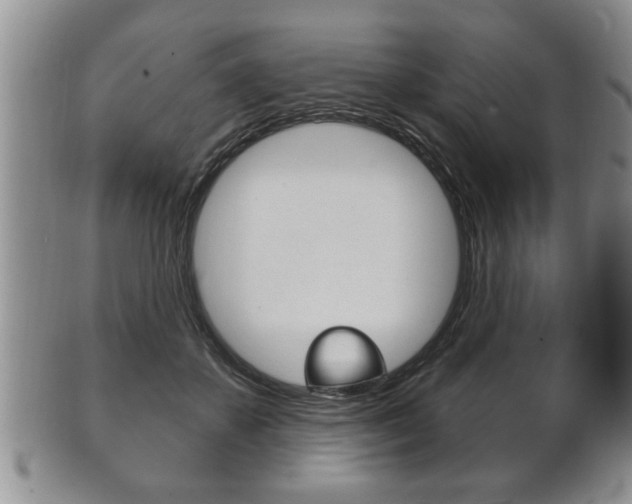 X0000102500507200808080948