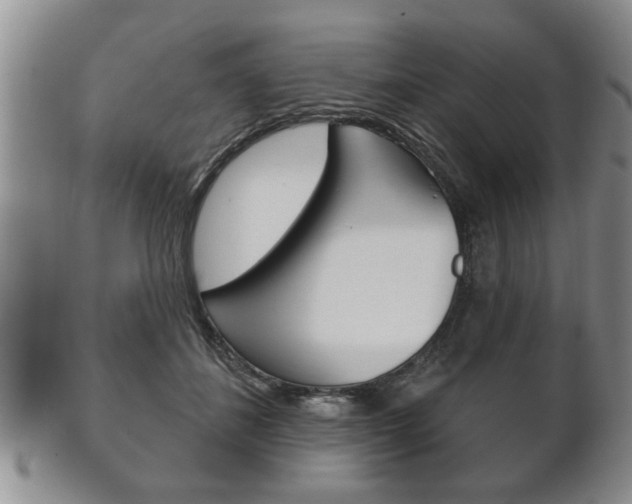 X0000102500508200808080948