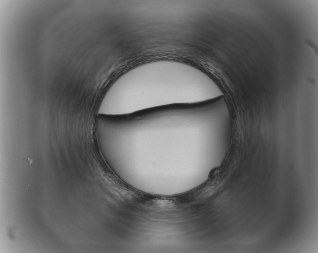 X0000102500509200808080948