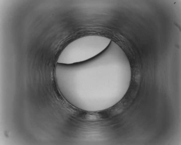 X0000102500510200808080948