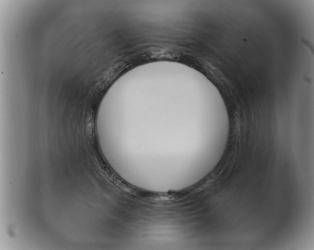 X0000102500513200808080948