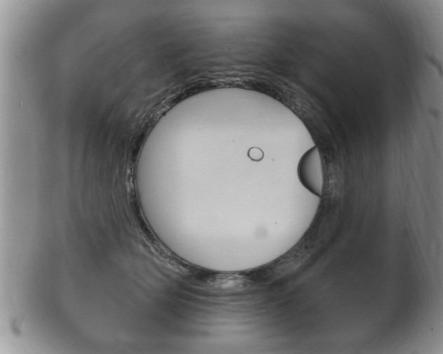 X0000102500514200808080948