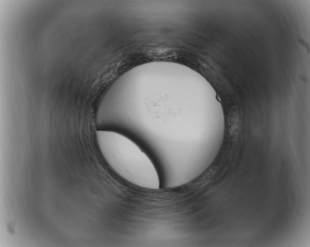 X0000102500515200808080948