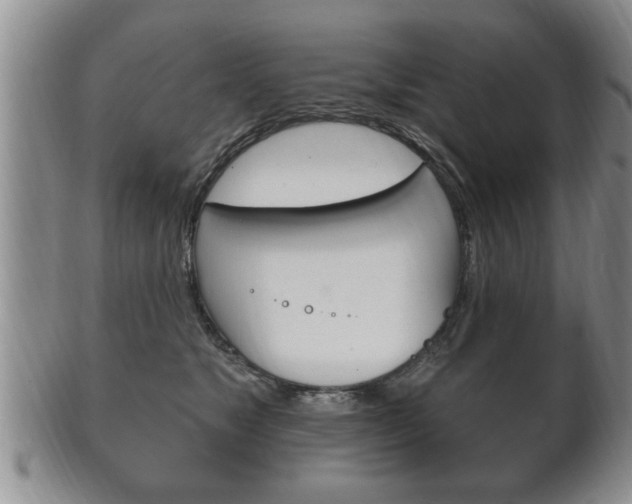 X0000102500517200808080948