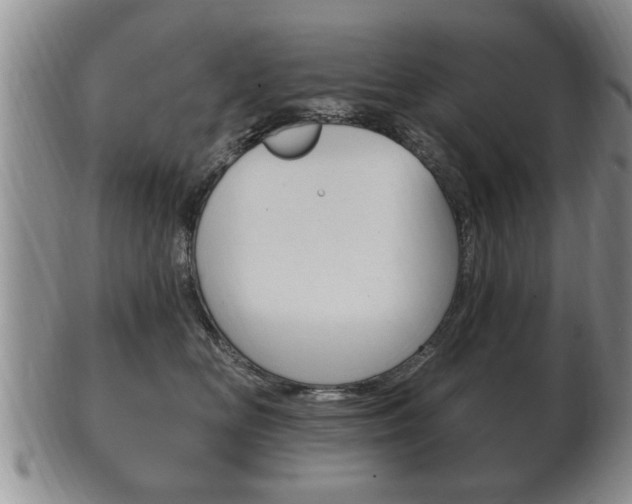 X0000102500518200808080948