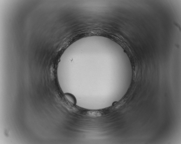 X0000102500520200808080948