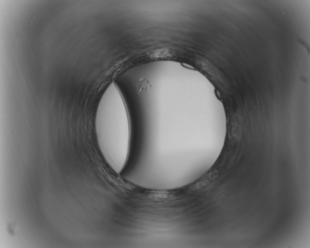 X0000102500521200808080948