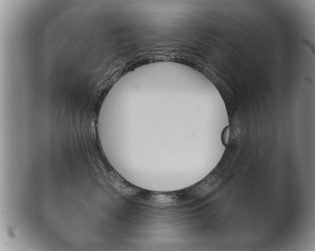 X0000102500522200808080948