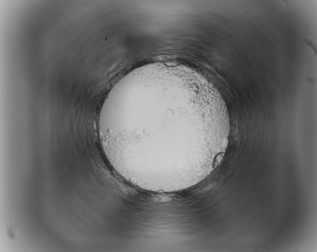 X0000102500523200808080948