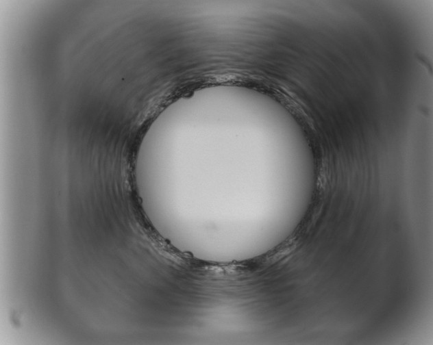 X0000102500524200808080948