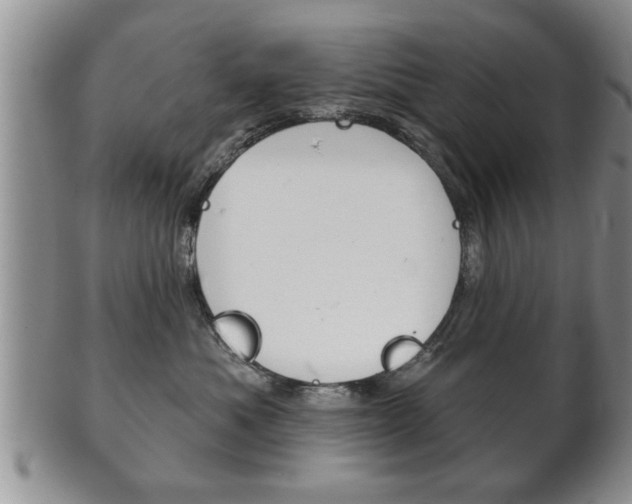 X0000102500525200808080948