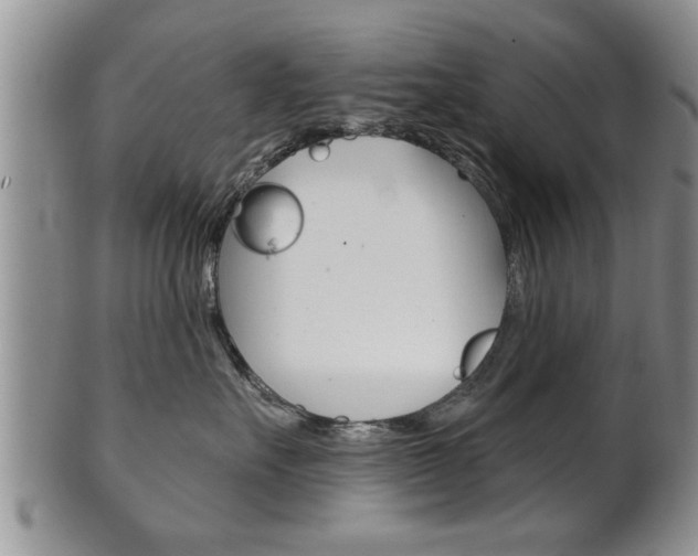 X0000102500527200808080947