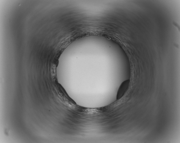 X0000102500528200808080947