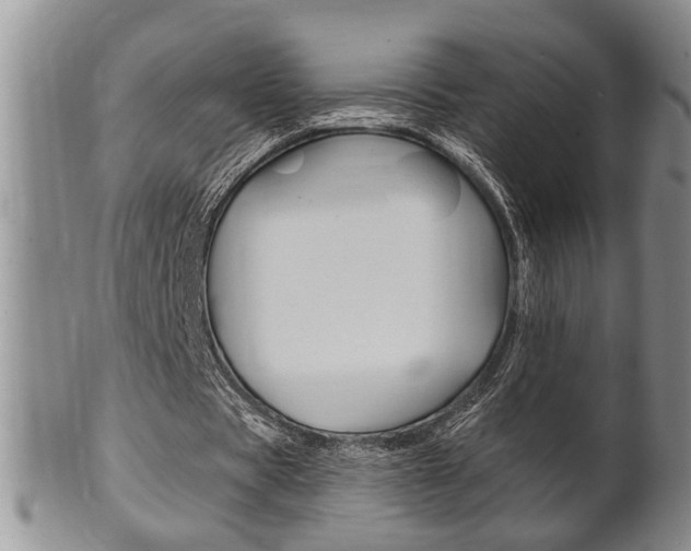 X0000102500529200808080947