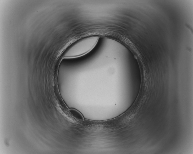X0000102500530200808080947