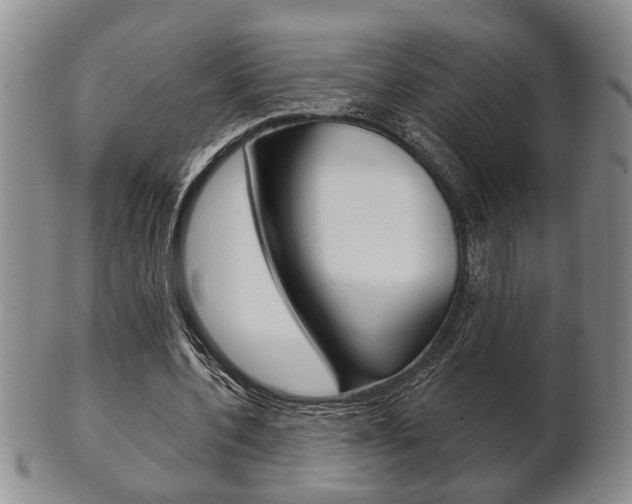 X0000102500532200808080947
