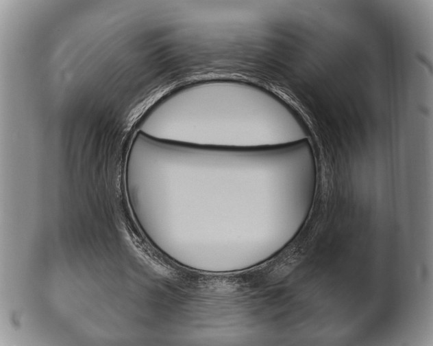 X0000102500533200808080947