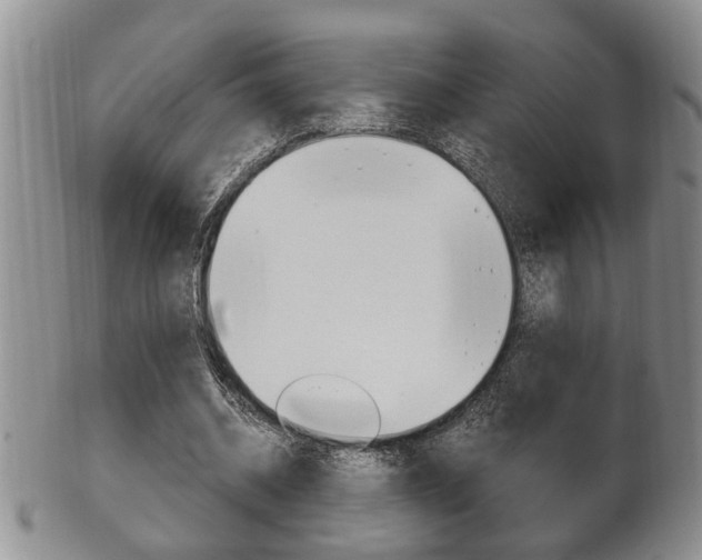 X0000102500534200808080947