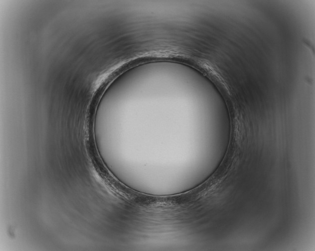 X0000102500536200808080947