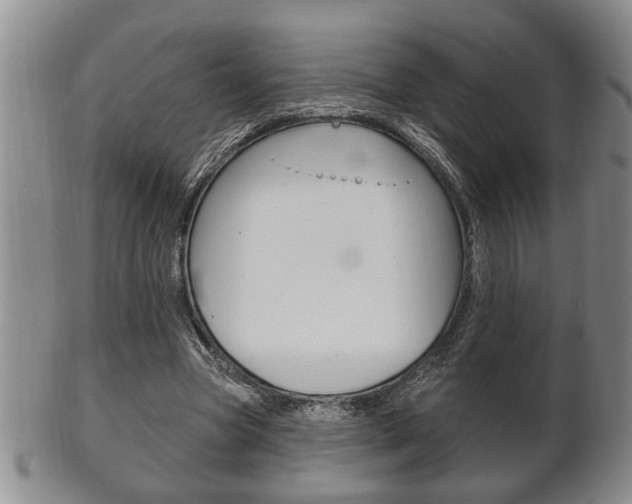 X0000102500537200808080947