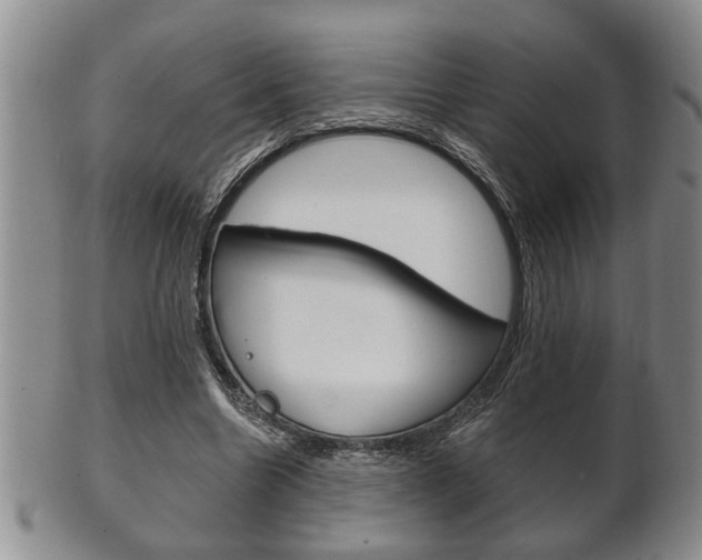 X0000102500538200808080947