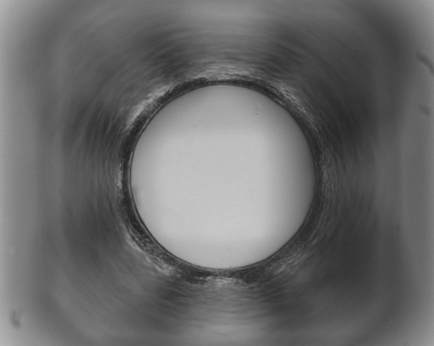 X0000102500539200808080947