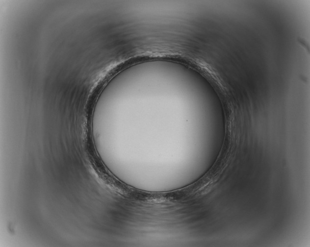 X0000102500540200808080947