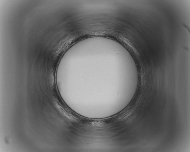 X0000102500541200808080947