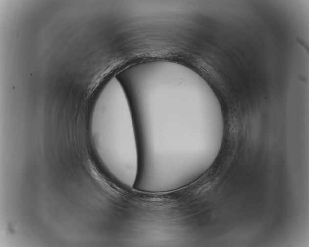 X0000102500542200808080947