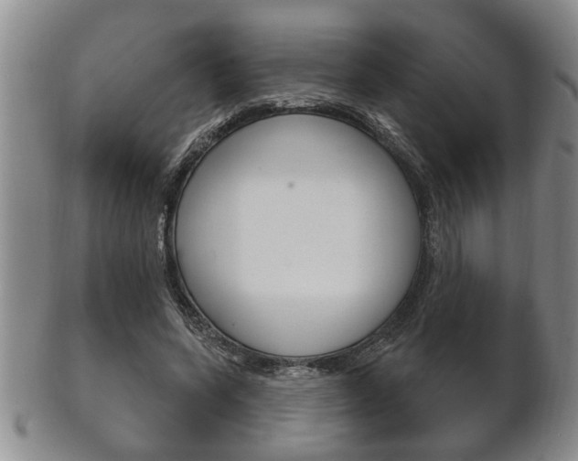 X0000102500543200808080947