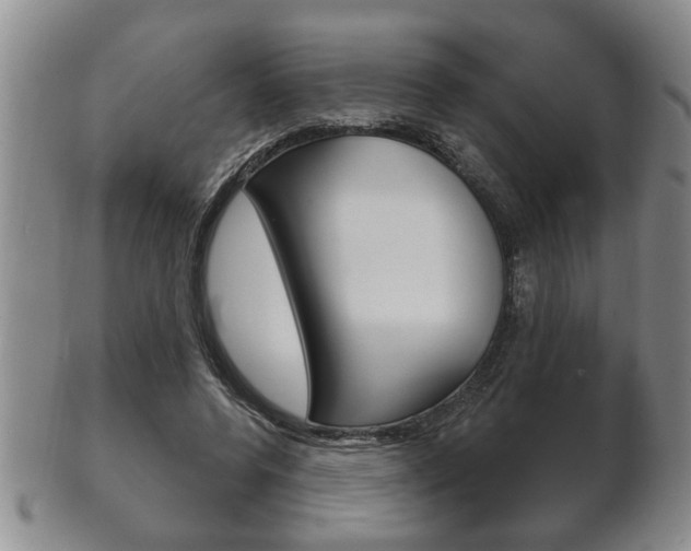 X0000102500544200808080947