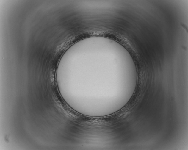 X0000102500545200808080947