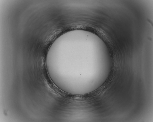 X0000102500546200808080947