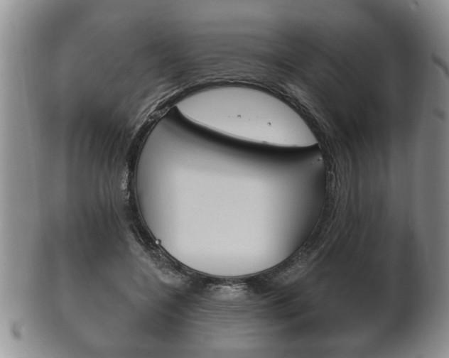 X0000102500548200808080947