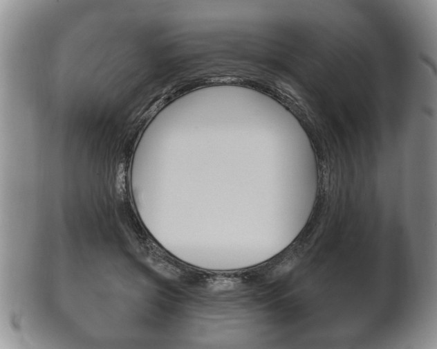 X0000102500549200808080947