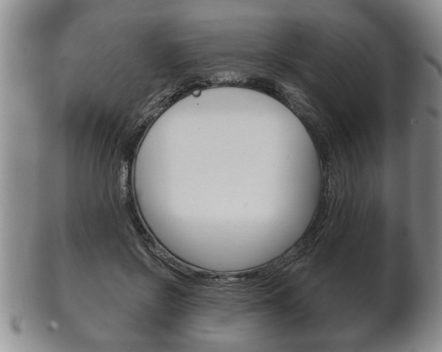 X0000102500550200808080947