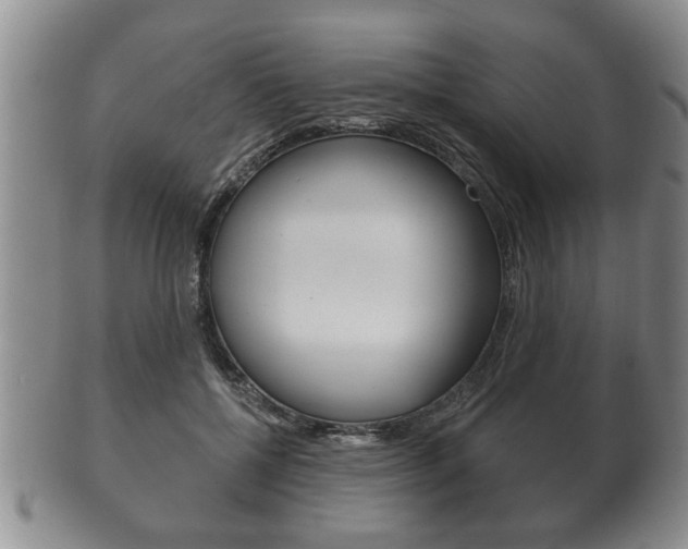 X0000102500552200808080947