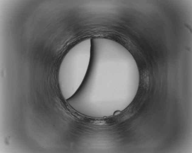 X0000102500554200808080947