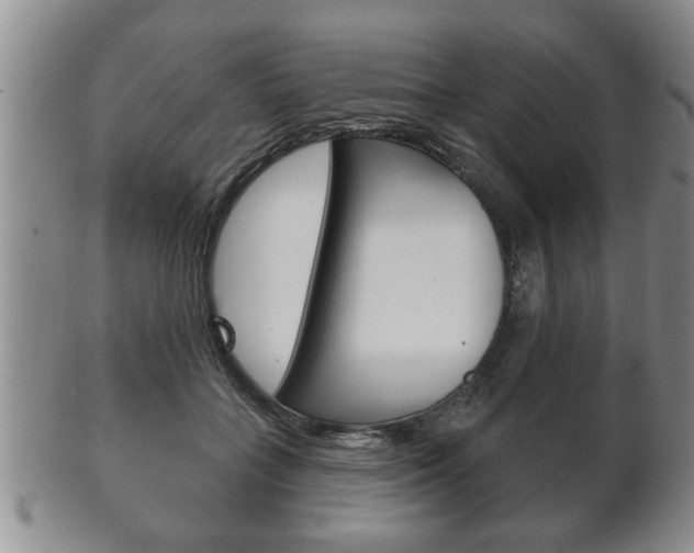 X0000102500555200808080947