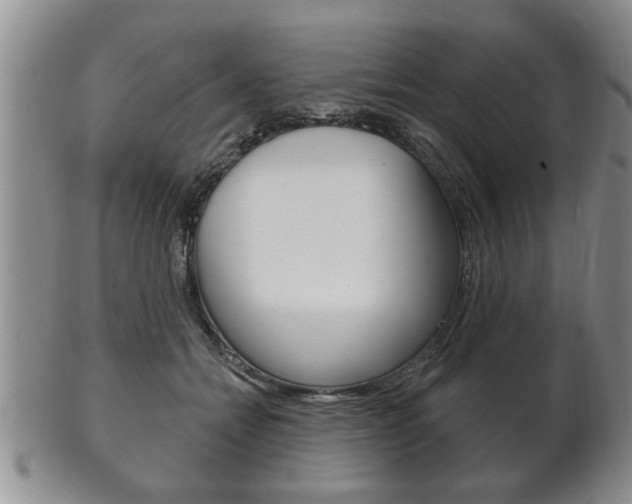 X0000102500558200808080947