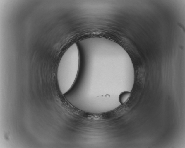 X0000102500559200808080947