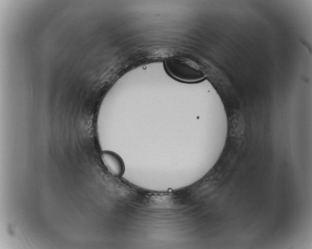 X0000102500560200808080947