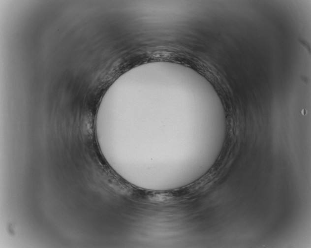 X0000102500561200808080947